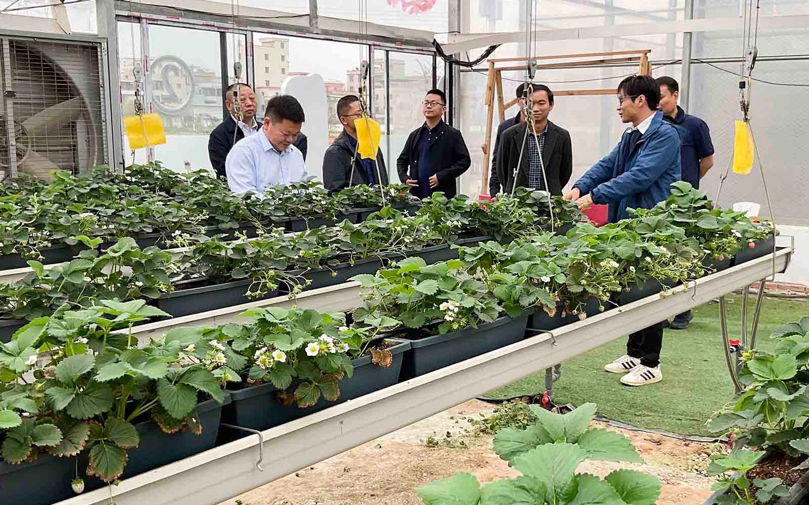 湖北省麻城市招商考察团队到访Z6·尊龙凯时进行调研交流
