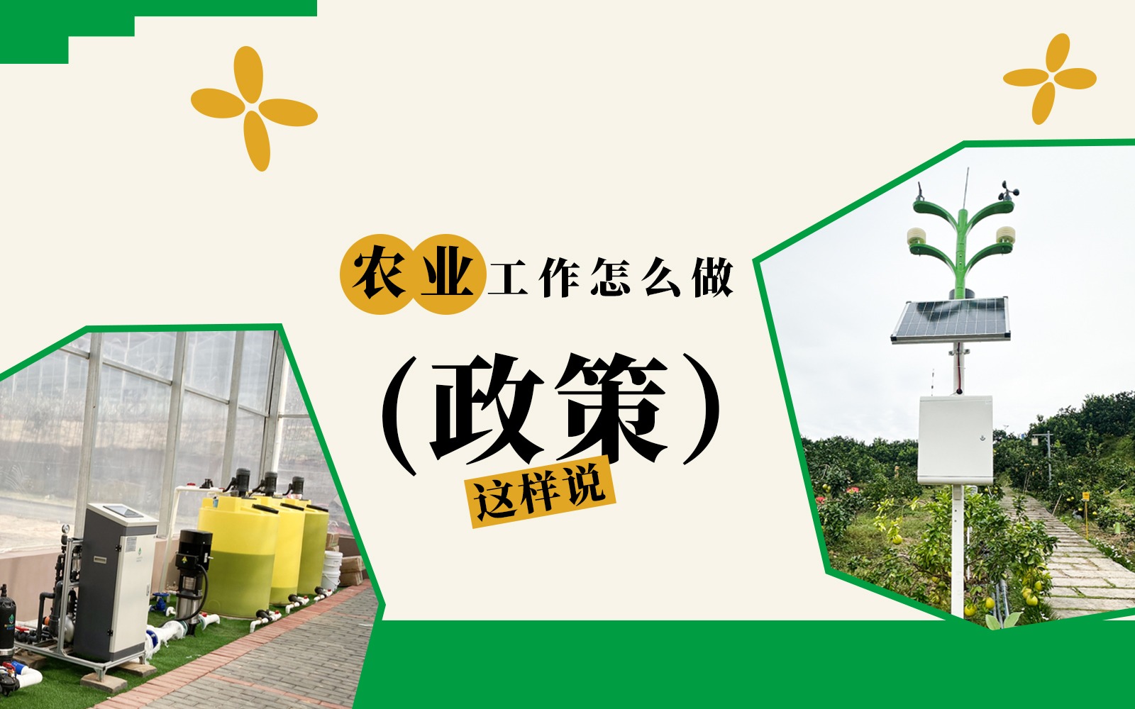 农业工作怎么做？这些政策说了！