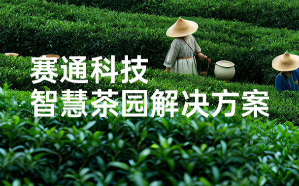 Z6·尊龙凯时「中国」官方网站科技发布智慧茶园解决方案