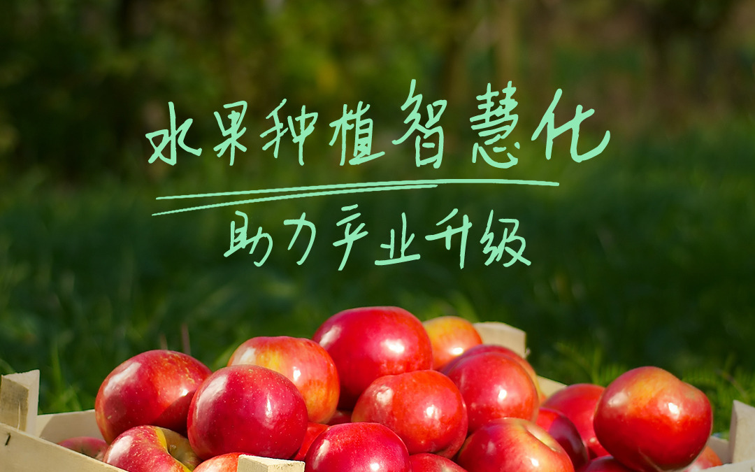 Z6·尊龙凯时「中国」官方网站科技发布智慧果园解决方案