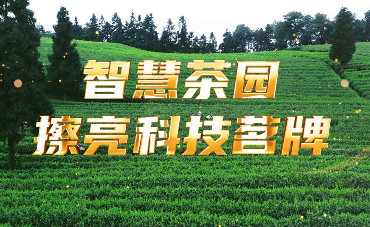 智慧茶园，擦亮科技茗牌
