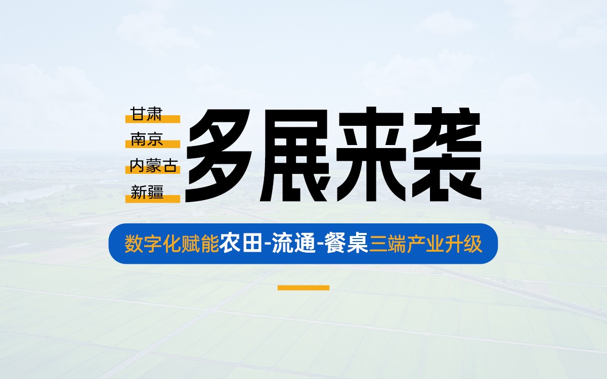 盛夏多展来袭，共探产业数字化新路径