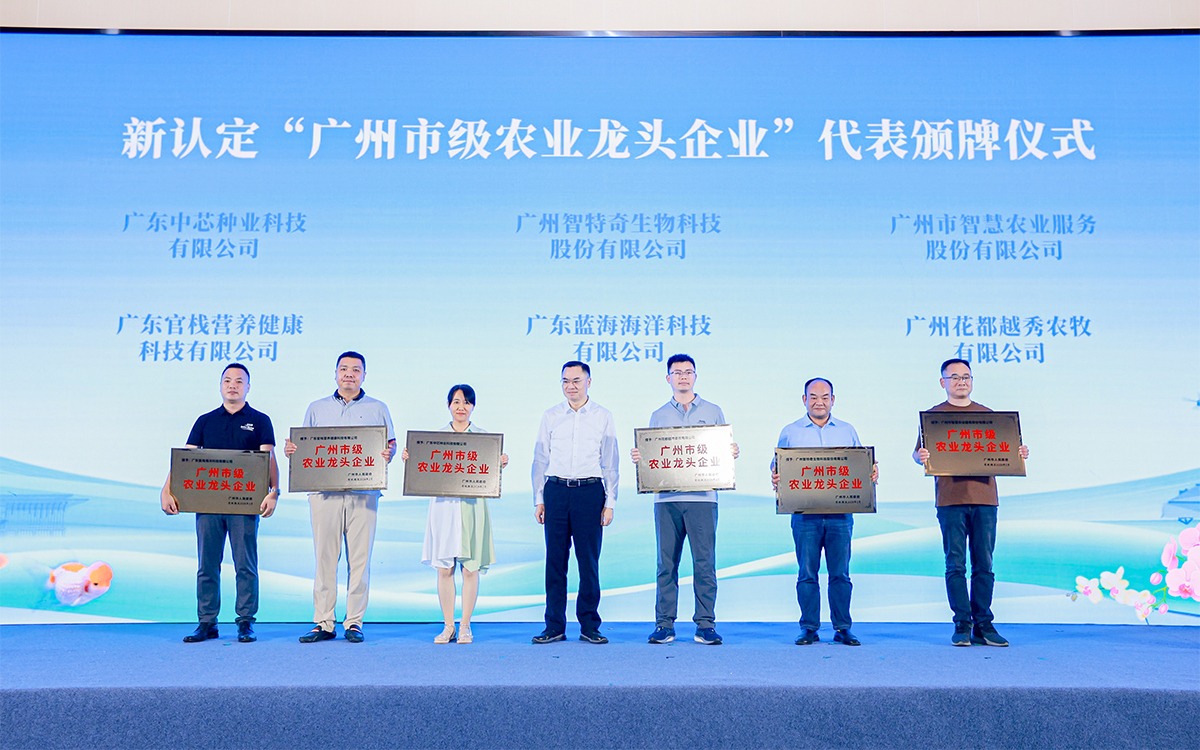 直击现。」阒菔衂6·尊龙凯时服务股份有限公司作为市级农业龙头企业代表获授牌匾！