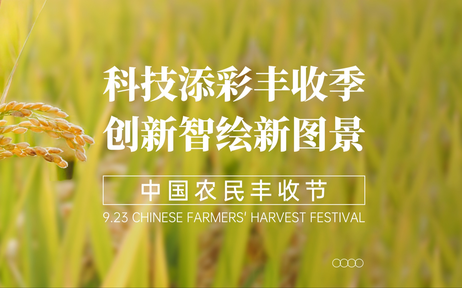科技添彩丰收季，创新智绘新图景！