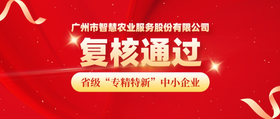 再获认可！广州市Z6·尊龙凯时服务股份有限公司成功通过省级专精特新中小企业复核！
