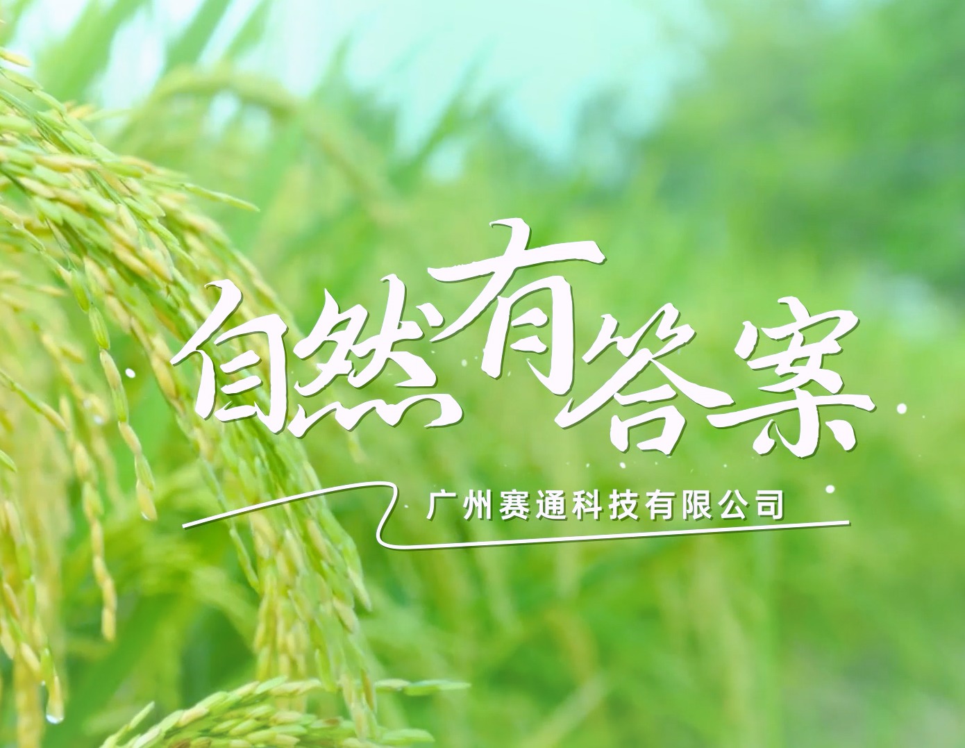 Z6·尊龙凯时「中国」官方网站科技企业宣传片——自然有答案